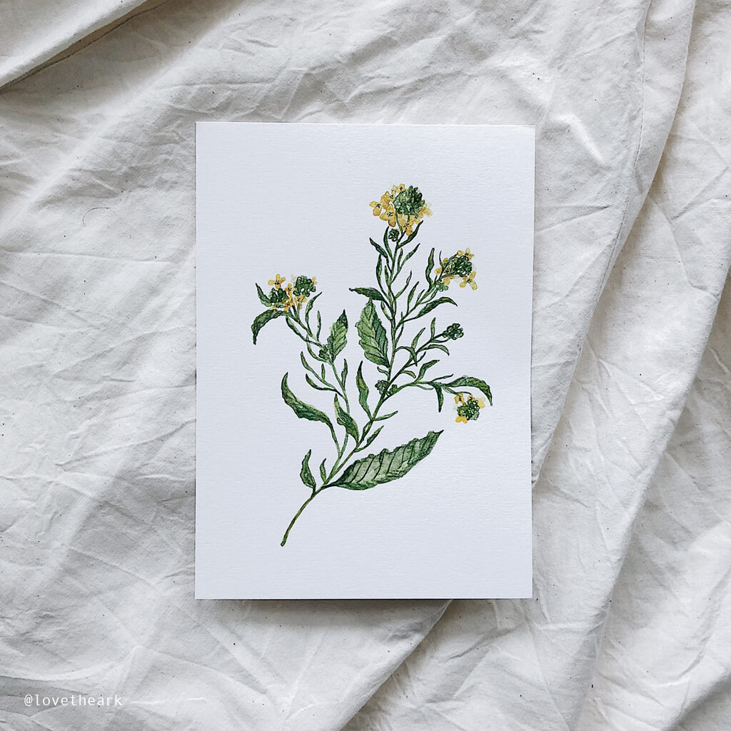 mustard seed