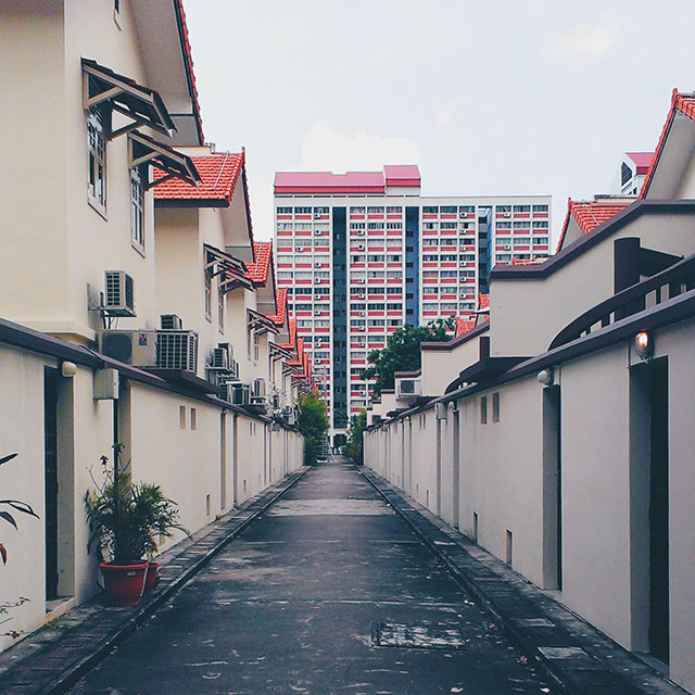 visualscenes_11