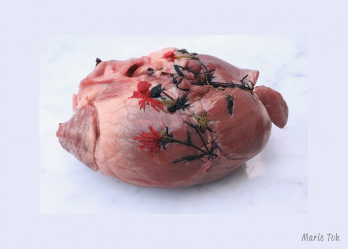 pig-heart_2