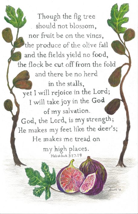 Fig-Tree