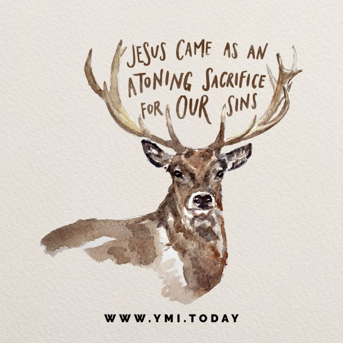 Reindeer