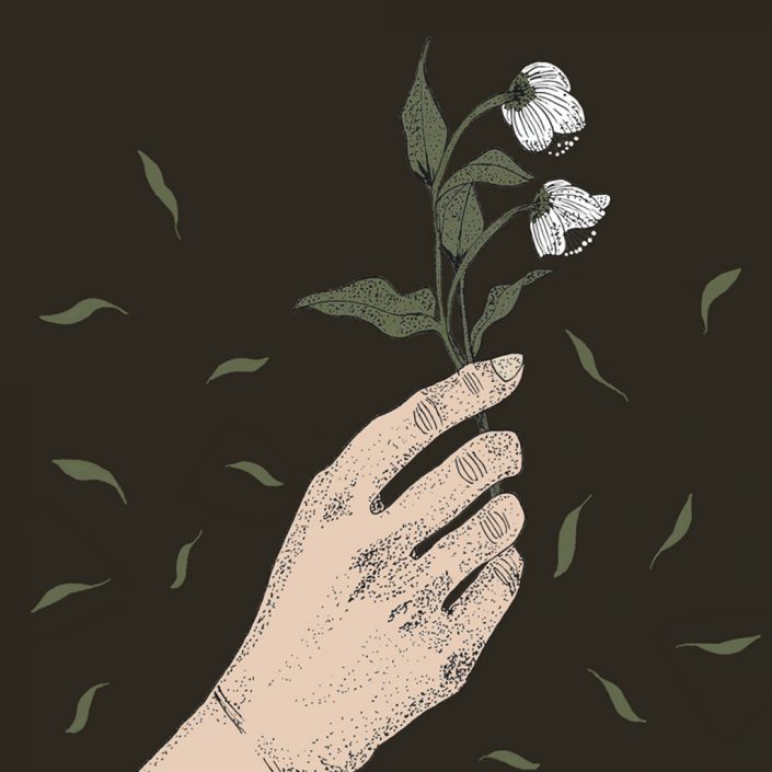 03-AROSE