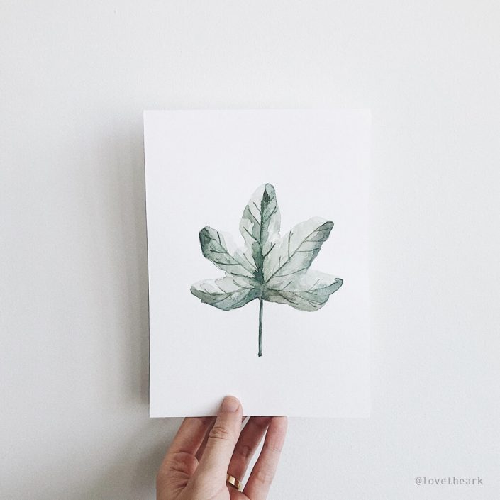 01-Take a leaf out of the bible-fig leaf