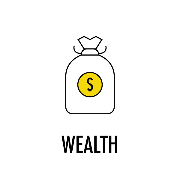 Wealth